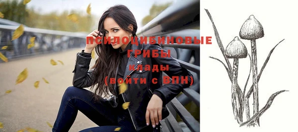 прущие крисы Осинники