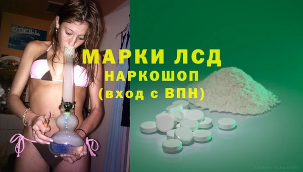 ГАЛЛЮЦИНОГЕННЫЕ ГРИБЫ Балабаново