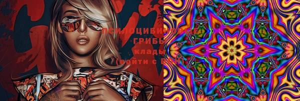 ГАЛЛЮЦИНОГЕННЫЕ ГРИБЫ Балабаново