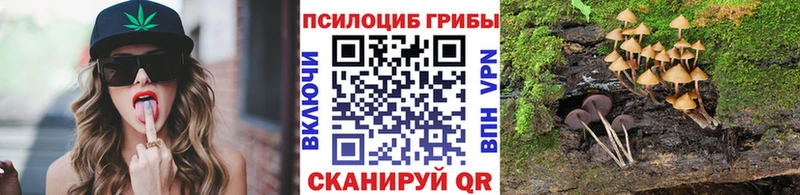 продажа наркотиков  Лабинск  Псилоцибиновые грибы мицелий 